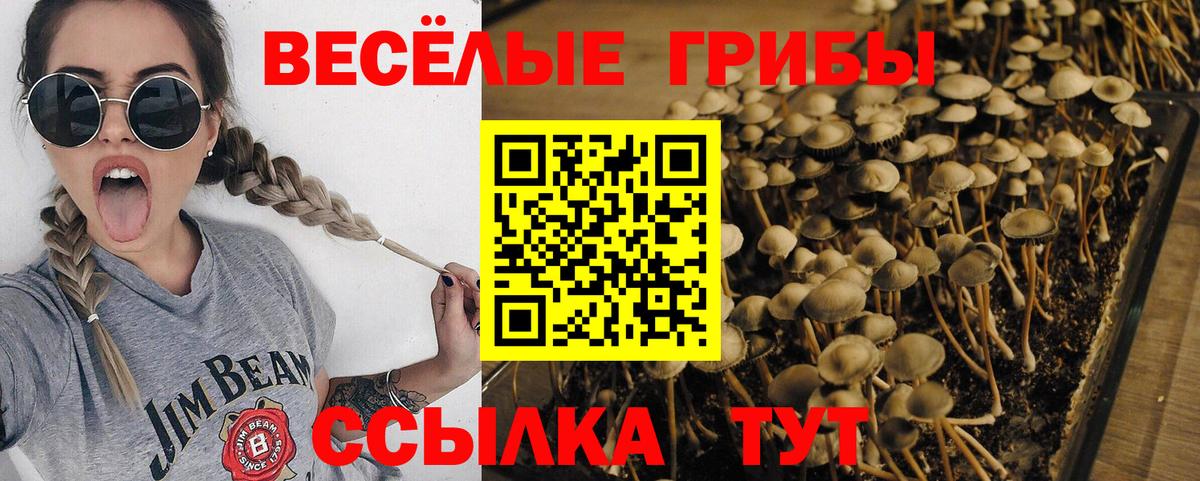 Галлюциногенные грибы Magic Shrooms Усть-Илимск